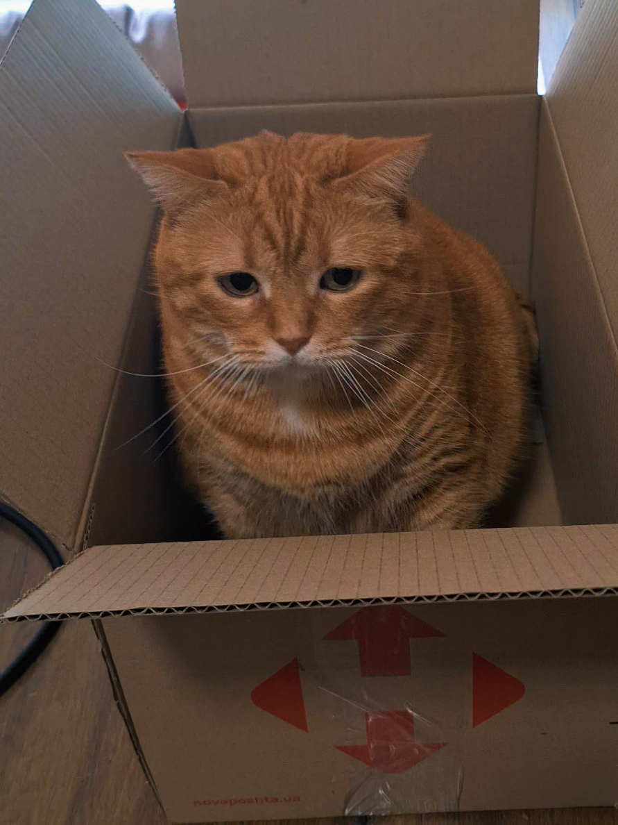 @Liya-Miya*Meow