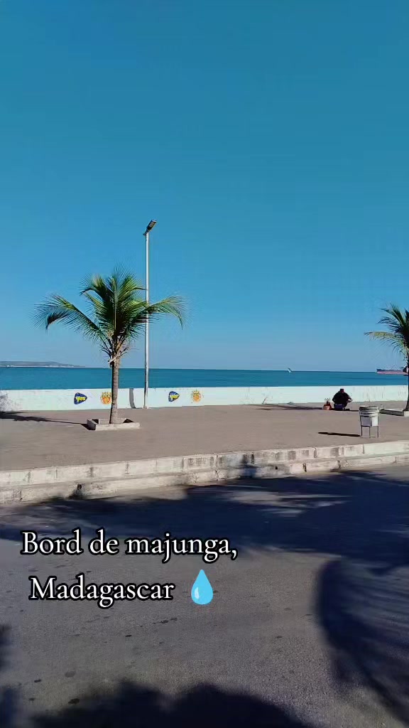 @Come to madagascar