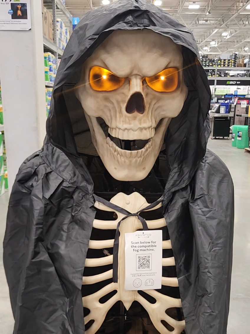 @Toyquest101