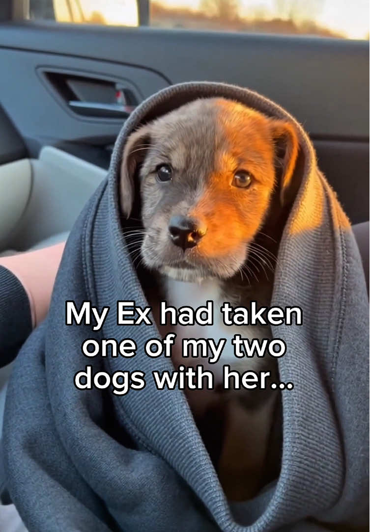 @ZebsKingdom