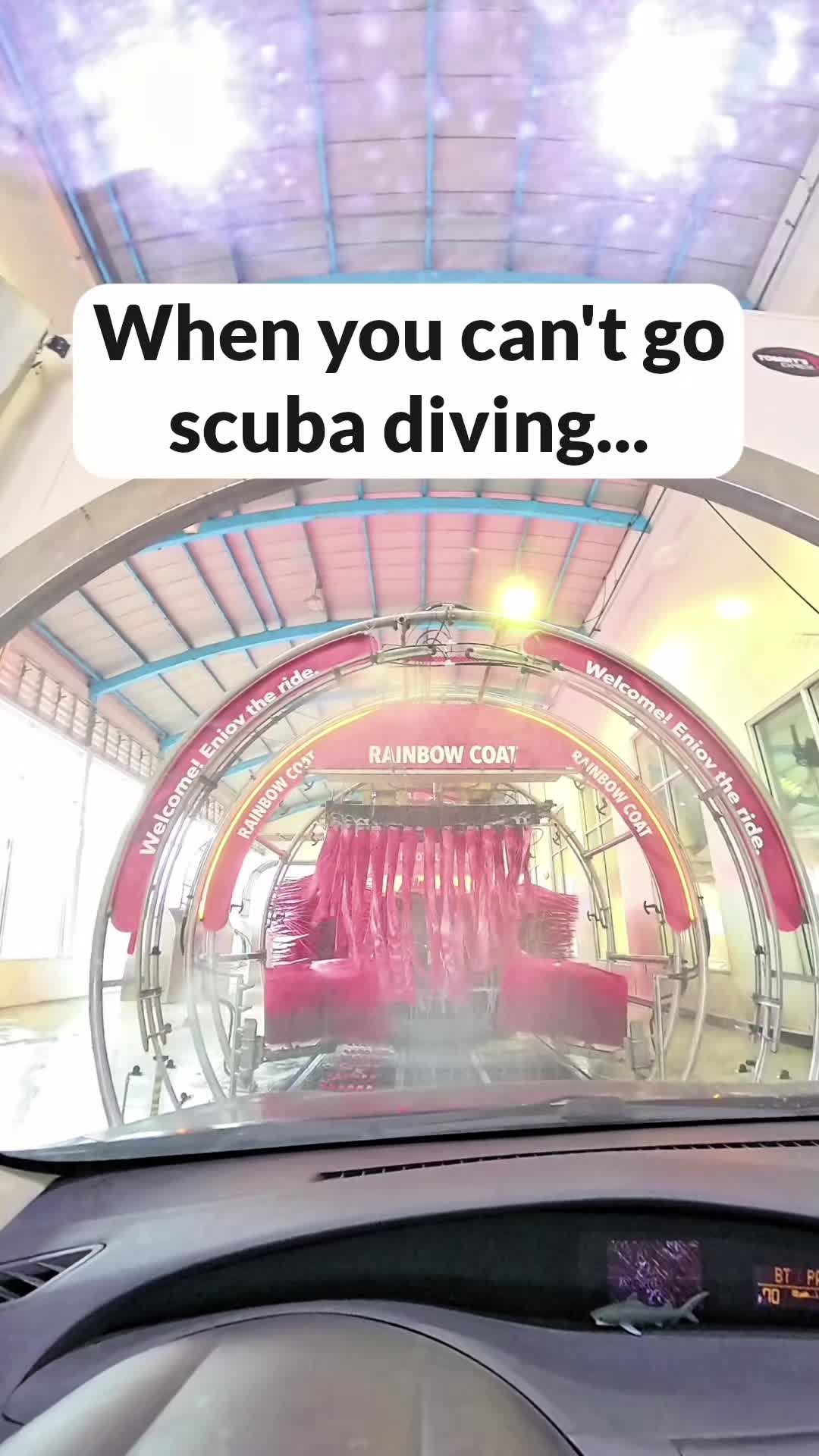 @Shark Geek