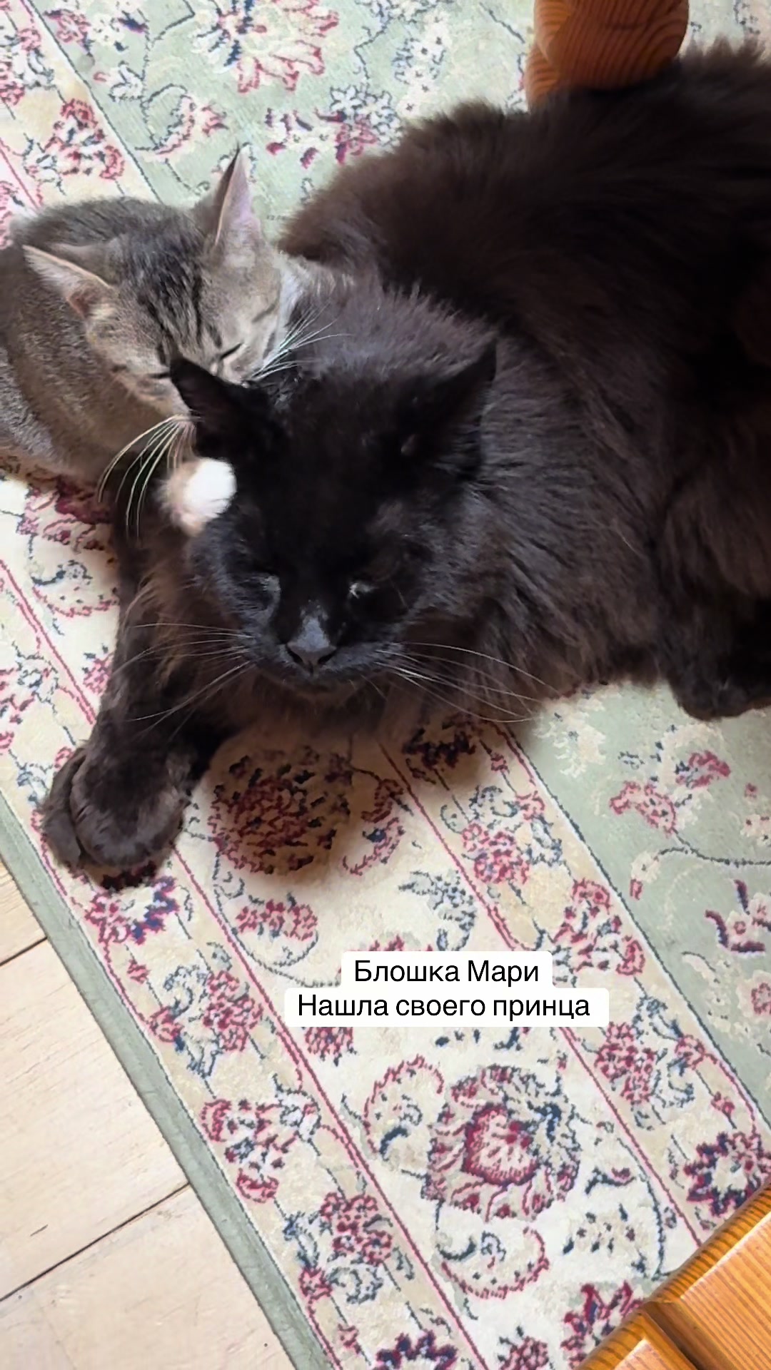 @Анна Алмазова