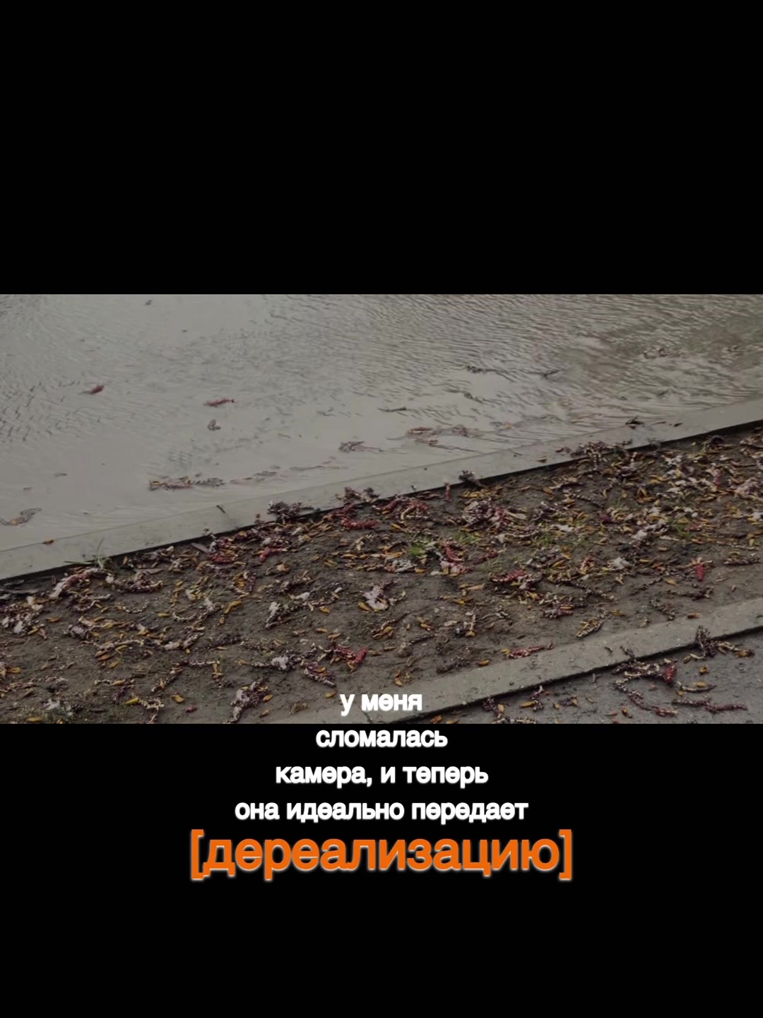 @Ирада, которая всегда рада