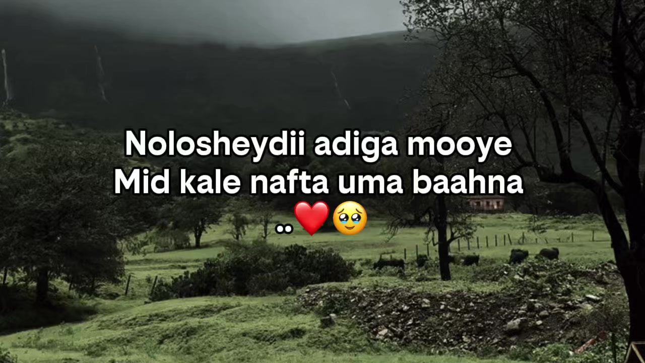 @N͜͡u͜͡u͜͡رo͜͡w͜͡w͜͡🤴👈