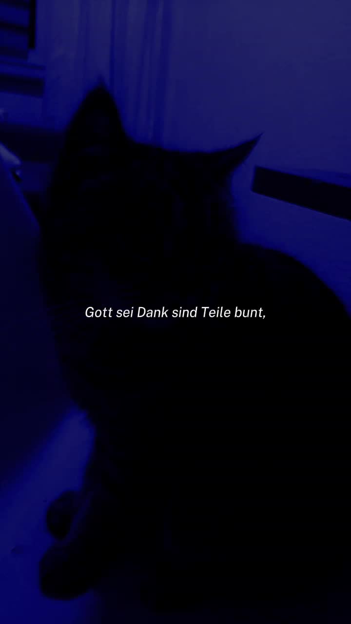 @🚀🚀