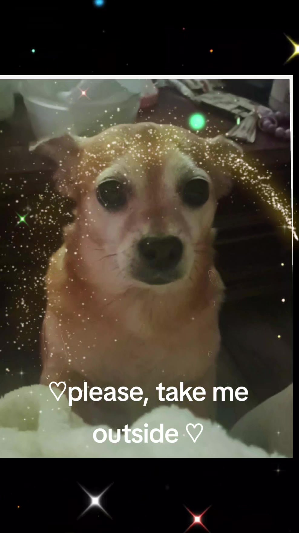 @Gabby