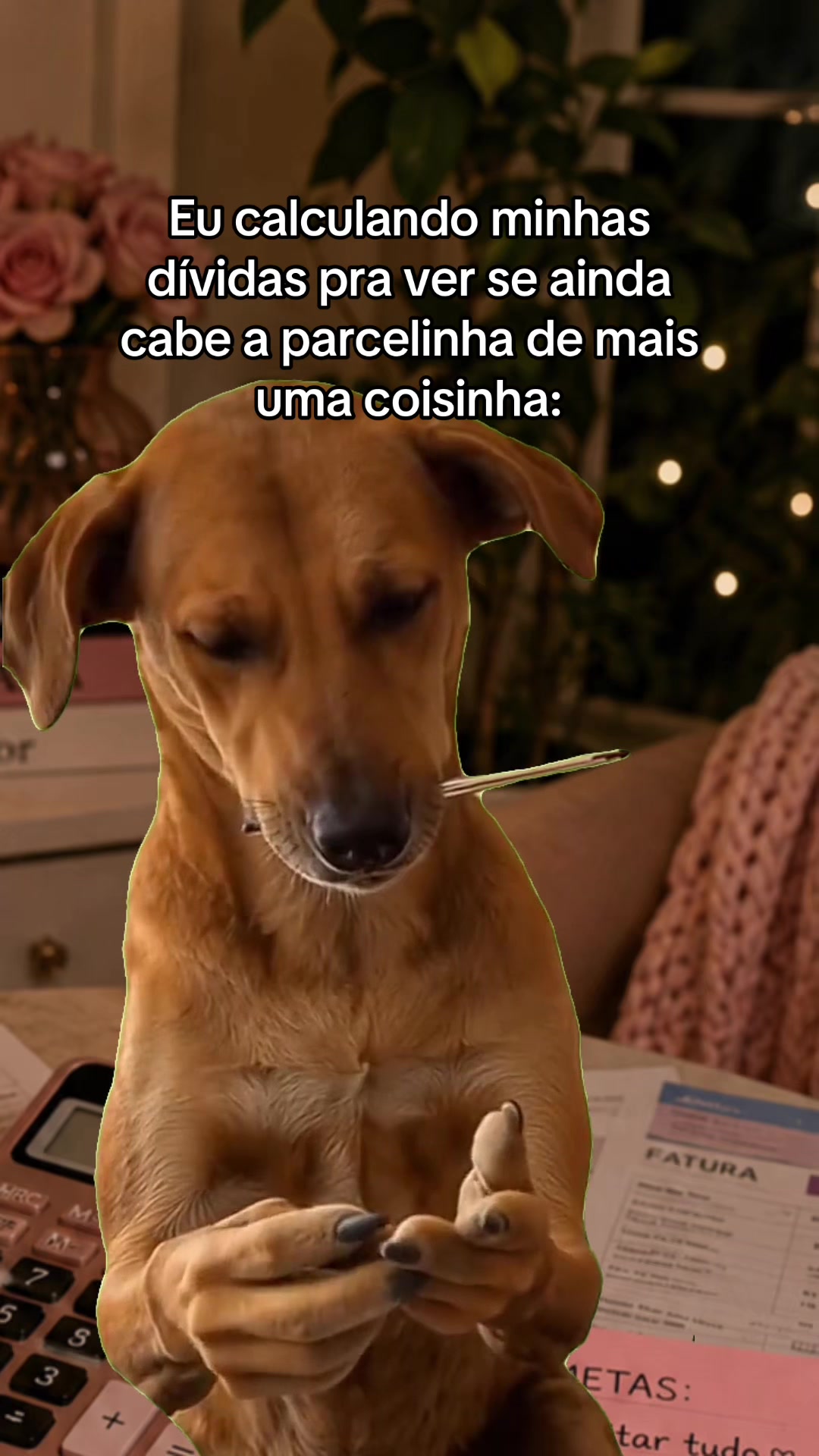 @tababadeira