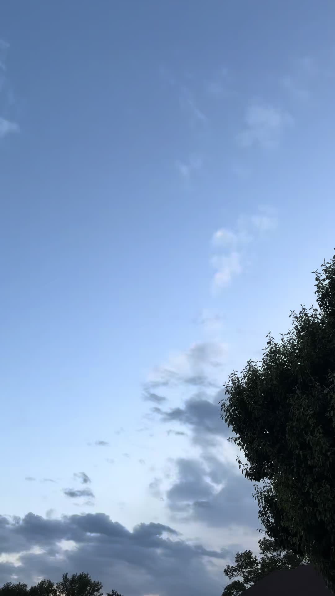 @bos