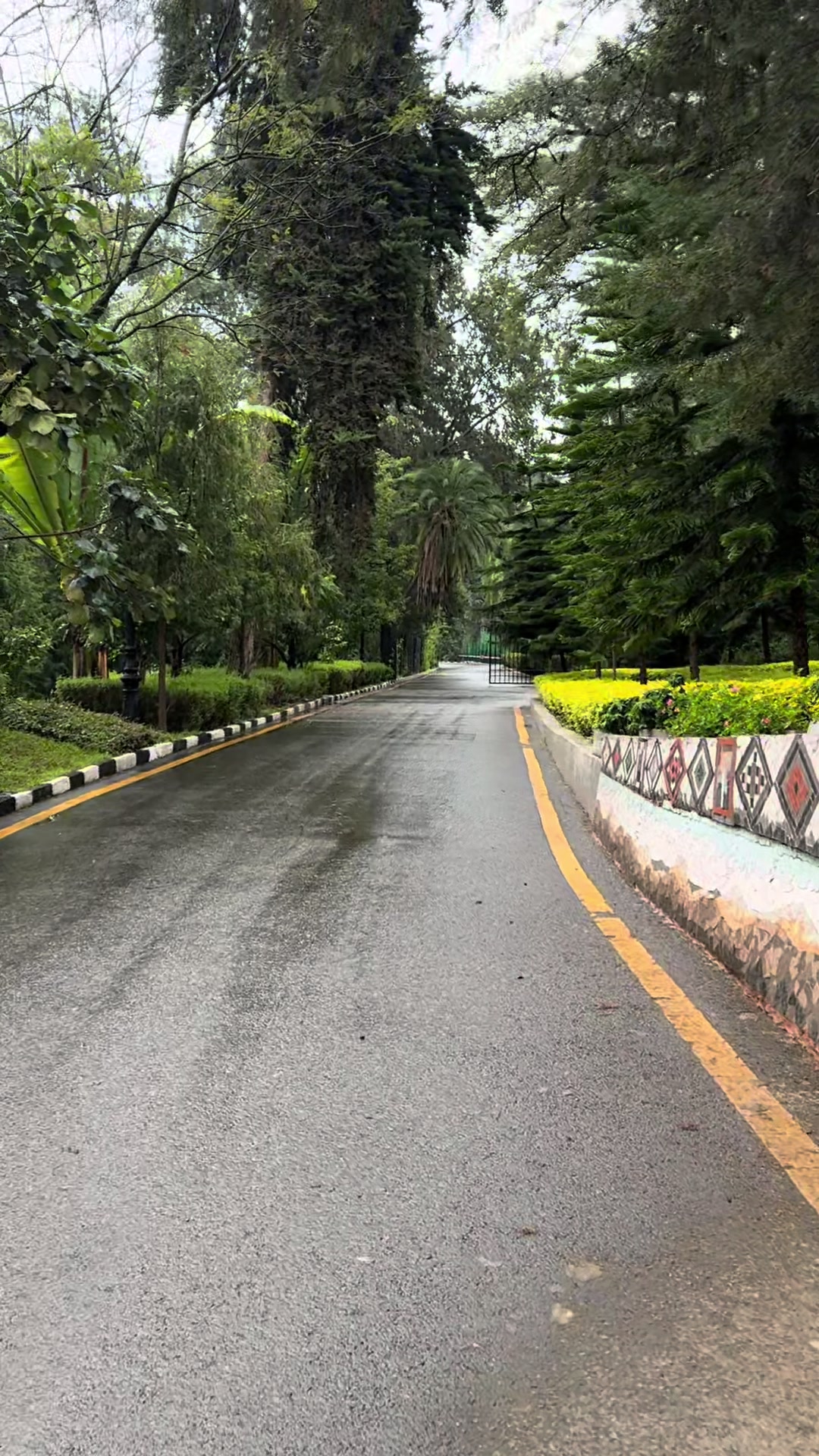 @سَحر 👒🤍 جازان