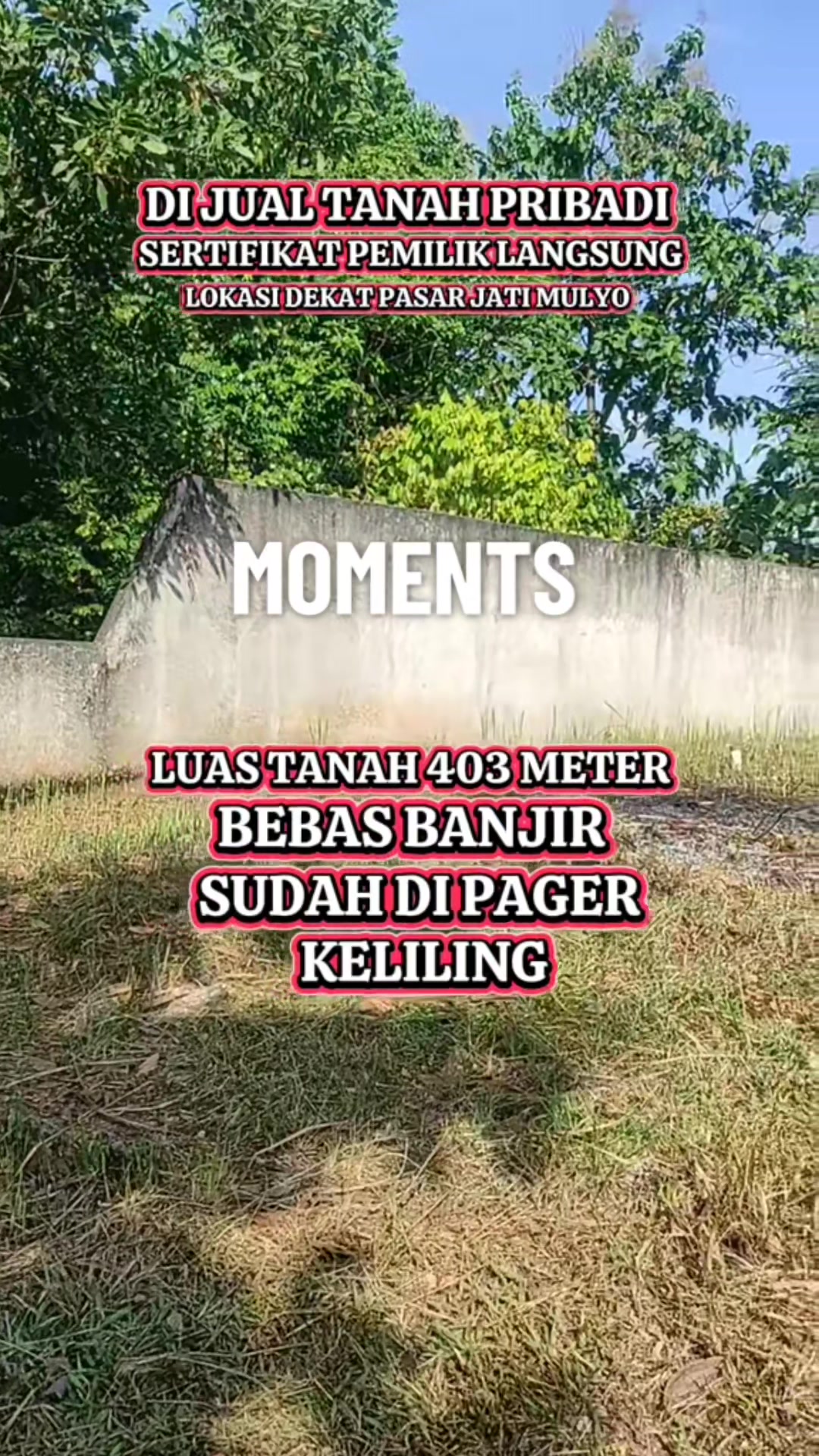 @Tanah pribadi Lampung