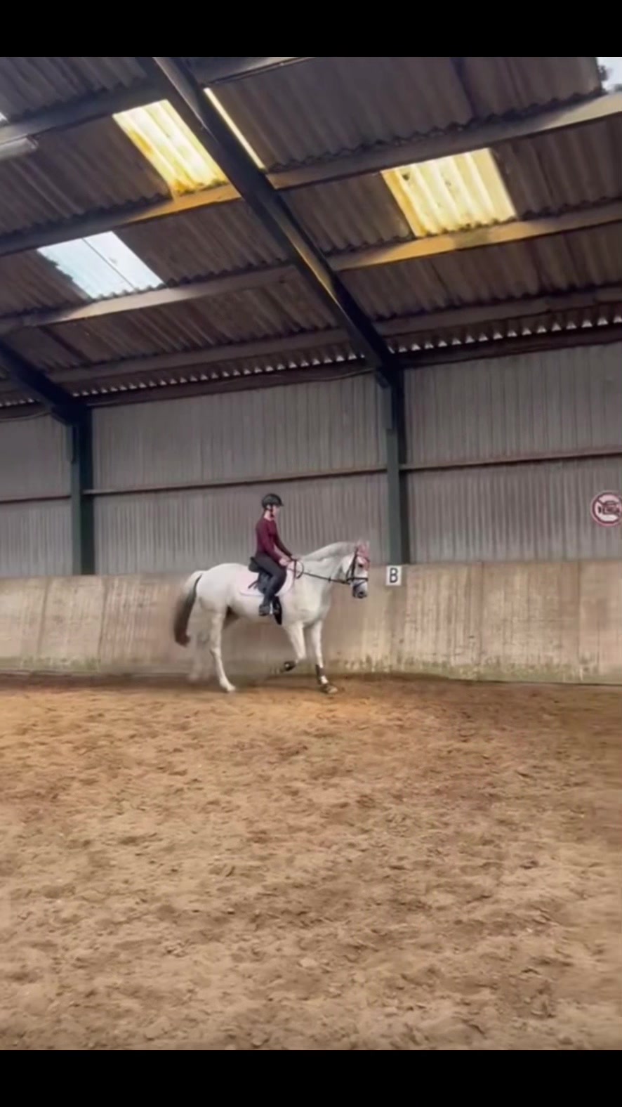 @Equi Roosje🇳🇱