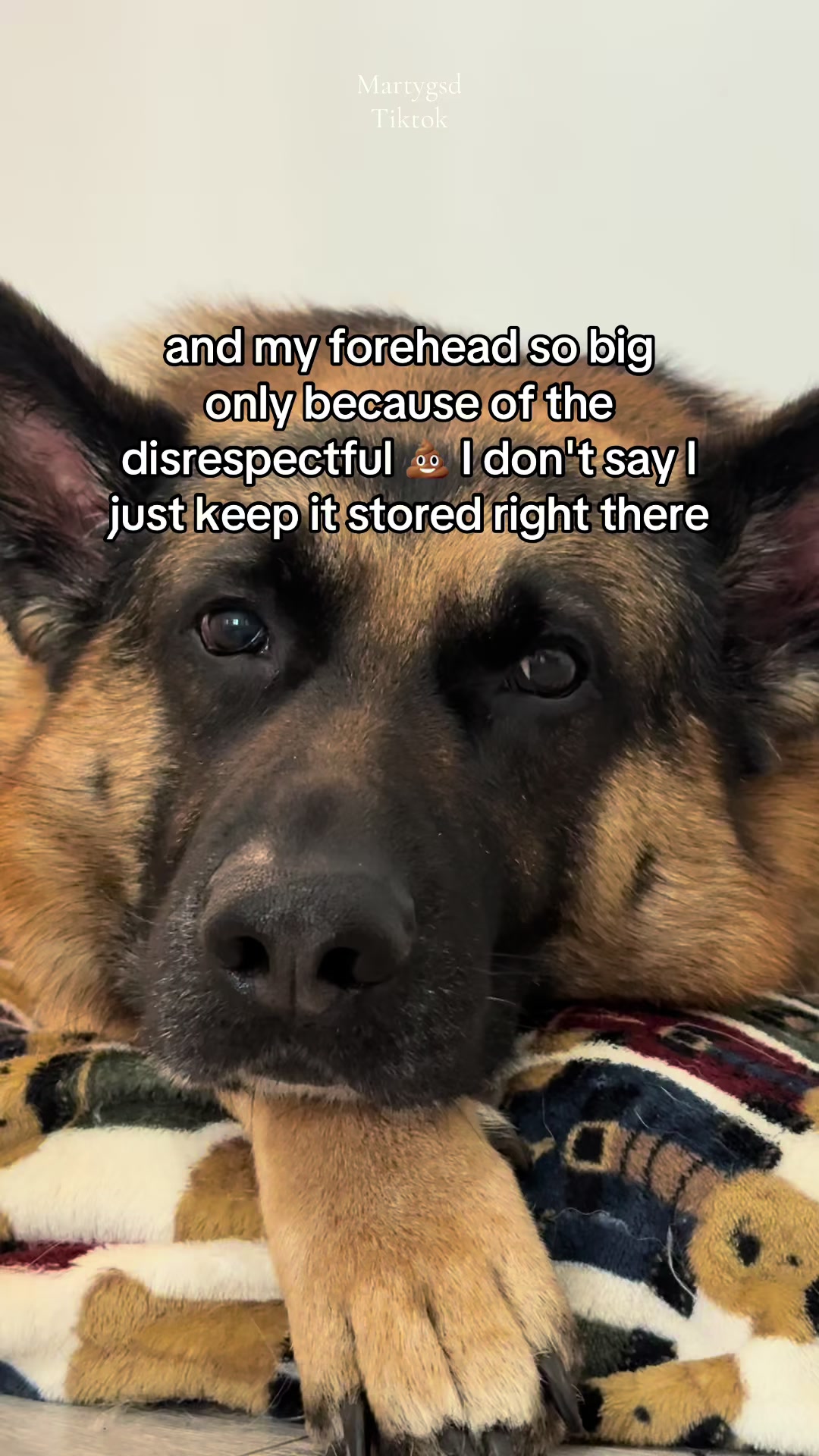 @Martygsd