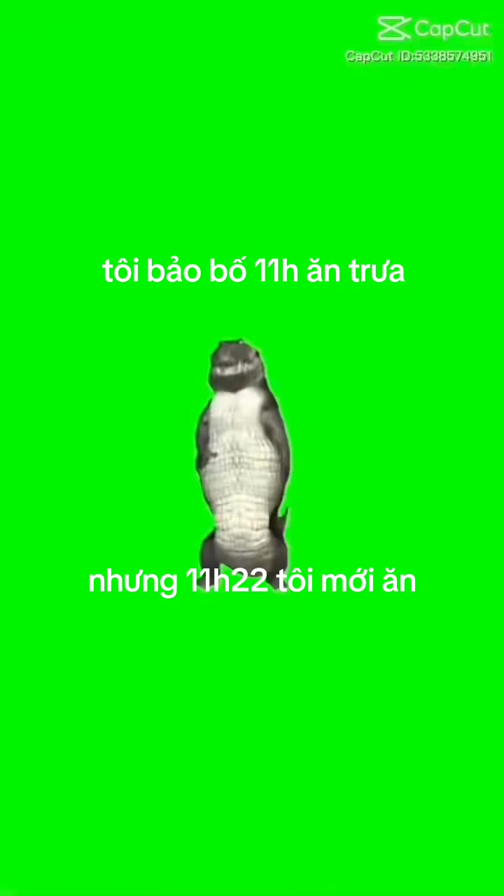 @Rip_memesea7075
