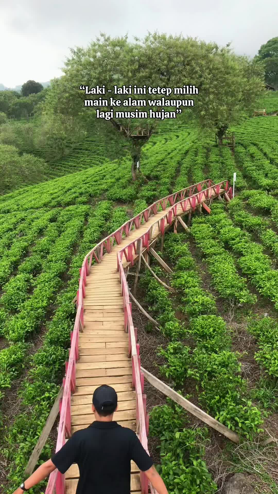 @Tukang Nglayap