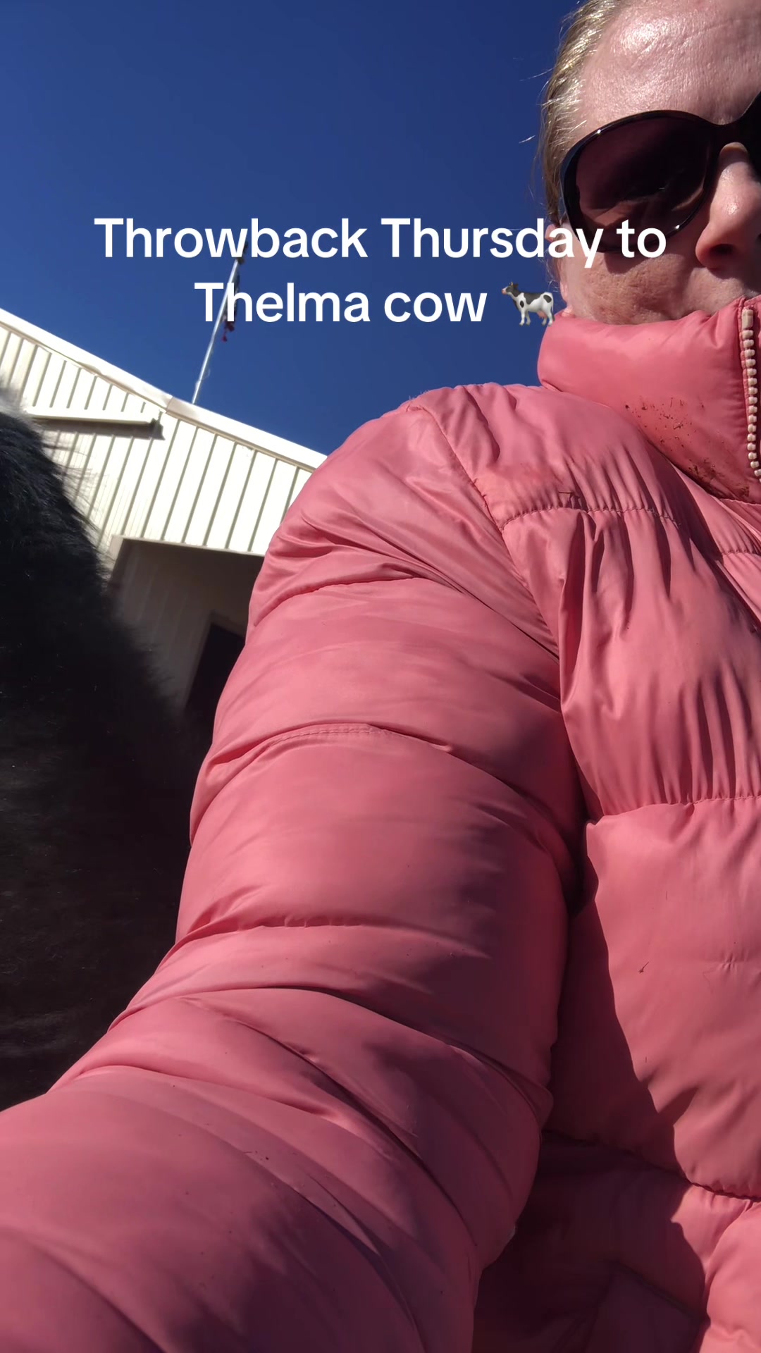 @Yakety Yak Ranch