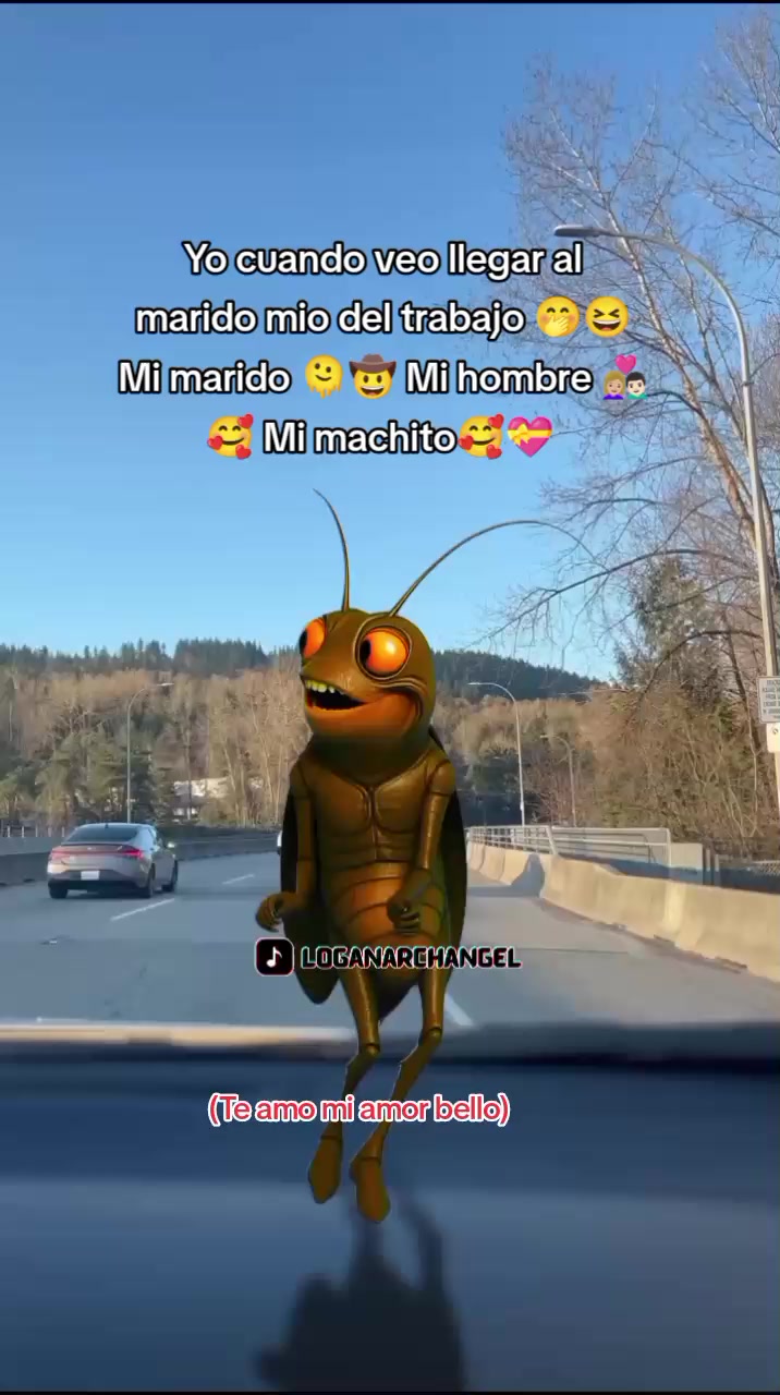 @🦋Janet🦋🇵🇪