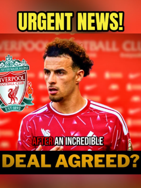 @Liverpool Daily News