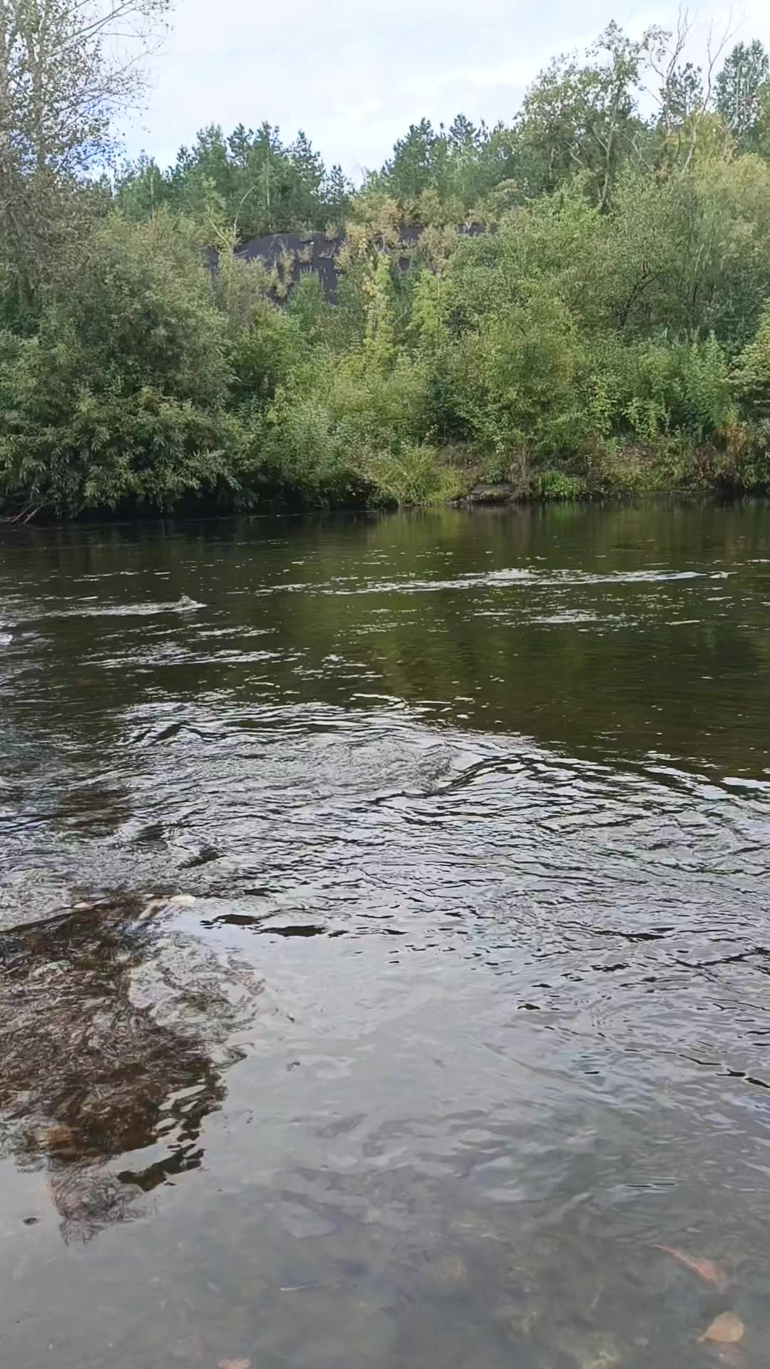 @Наталья Ковалева8238