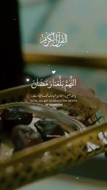 @my for you tik tok