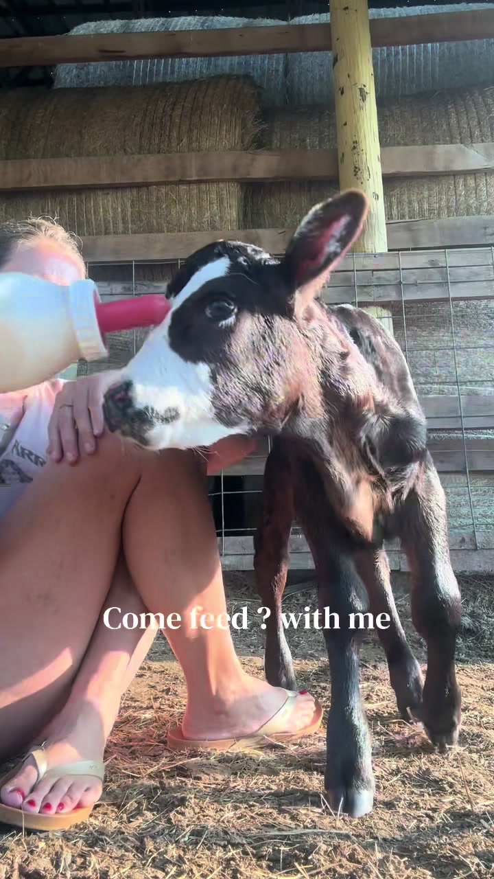@🤎DirtWife🚜🐮🐴🐶