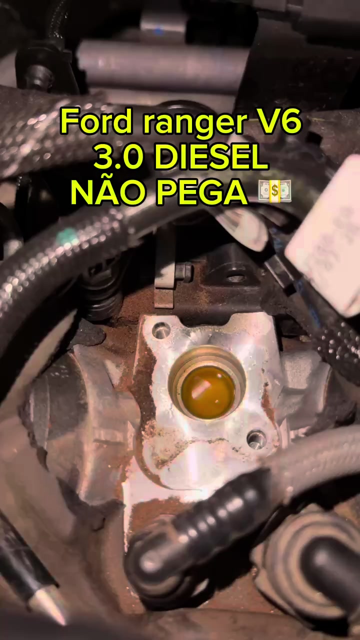 @oficialleocar