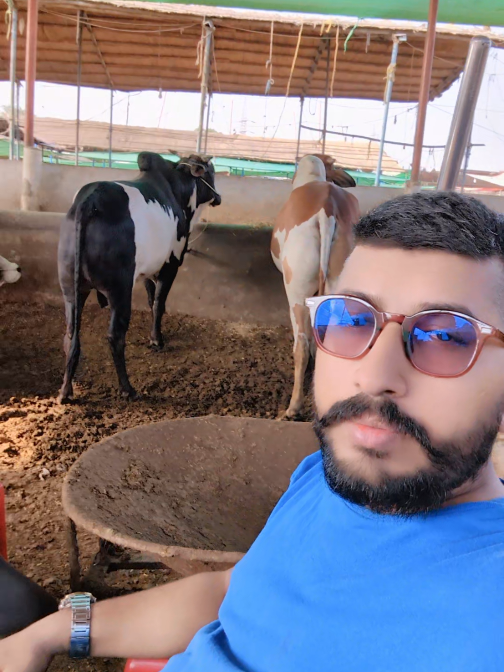 @nadirkhani5177