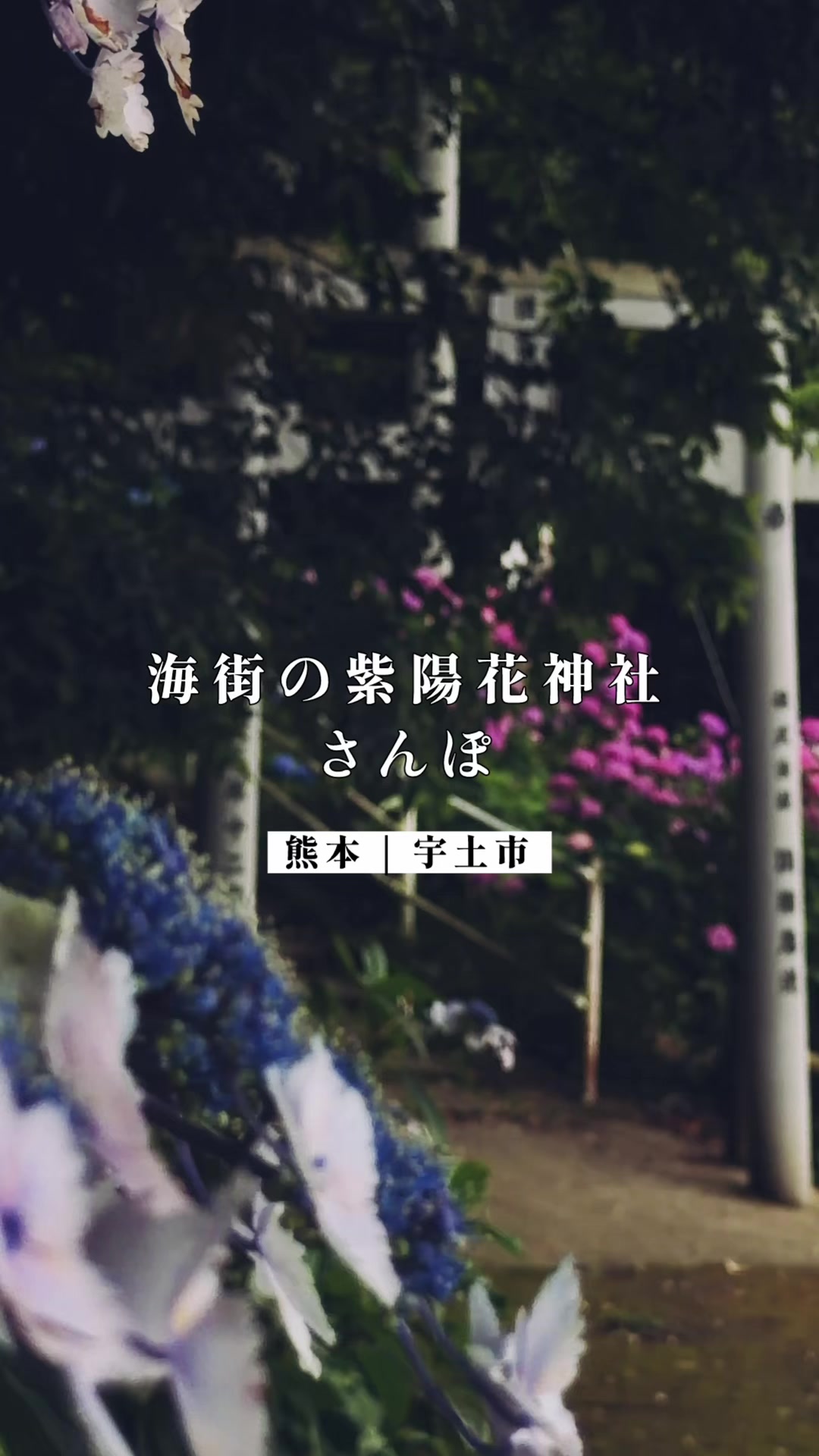 @徒然なるみさん|熊本の神社仏閣
