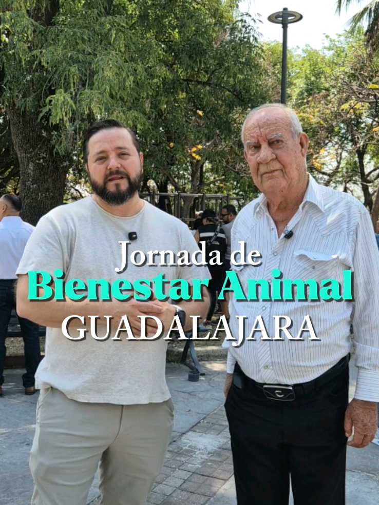 @Mario Castellanos Ibarra