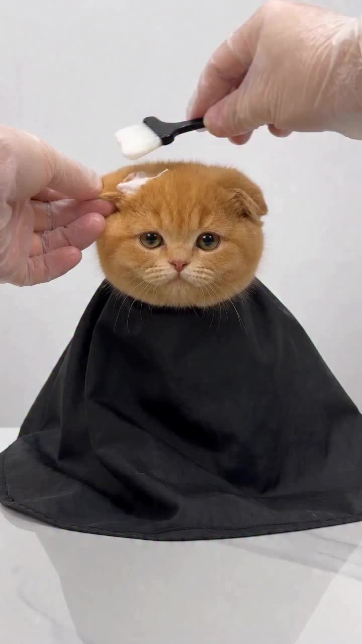 @onlinehealing
