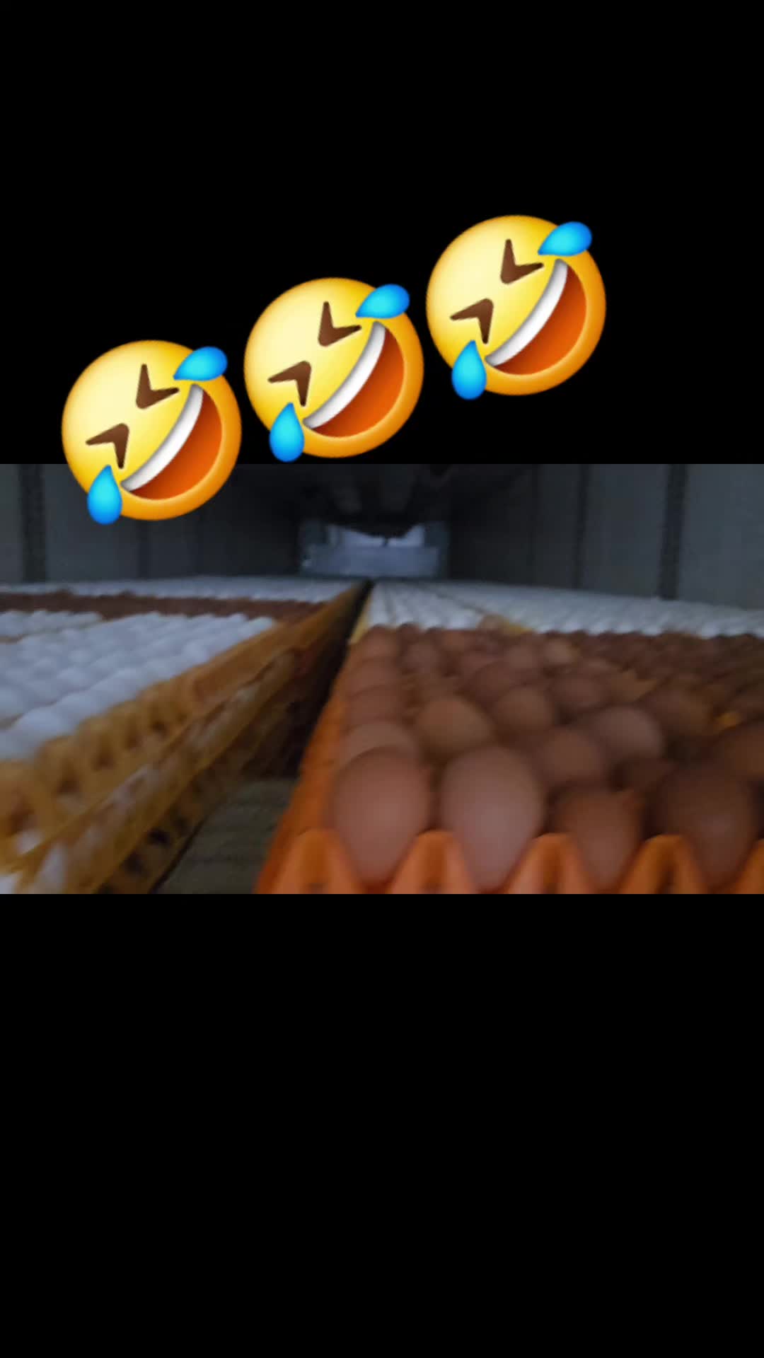 @Verrückter Peter🖤Mimi's