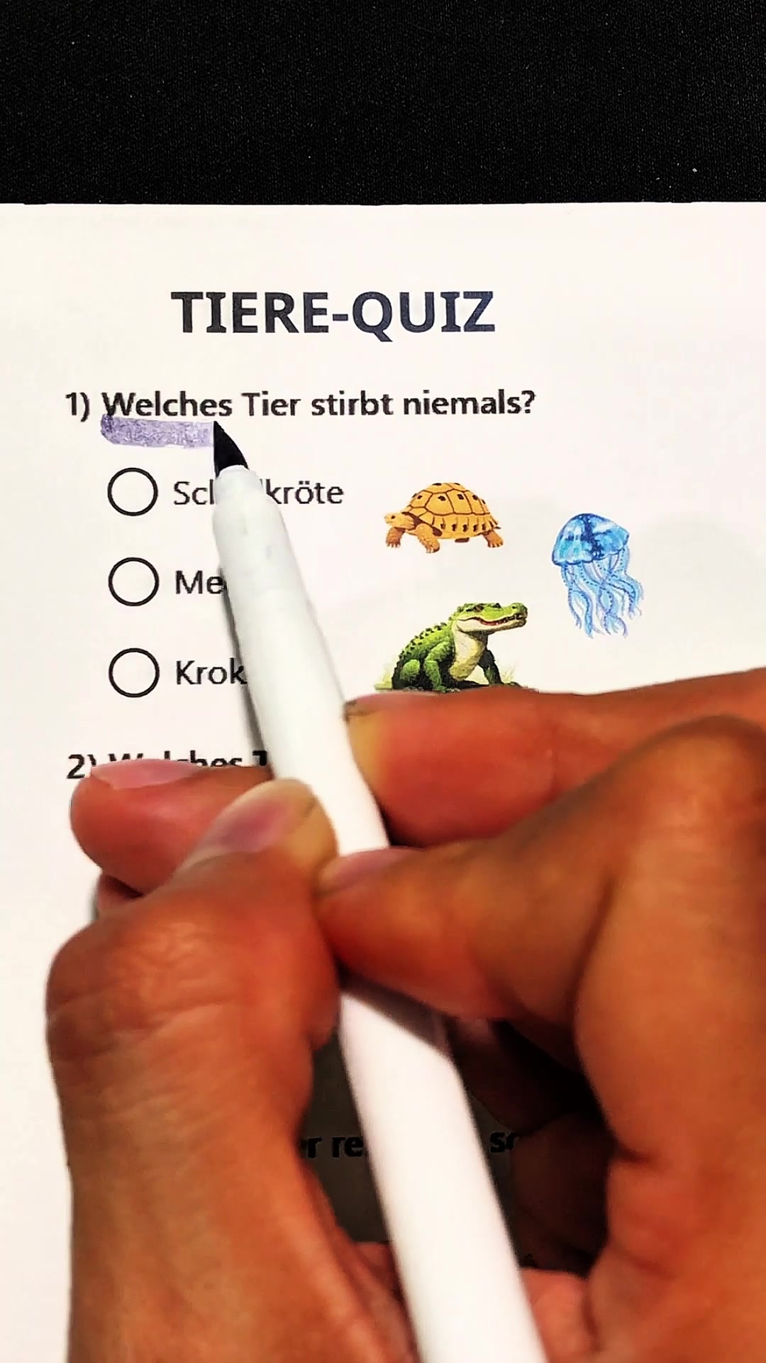 @Exp Quizz