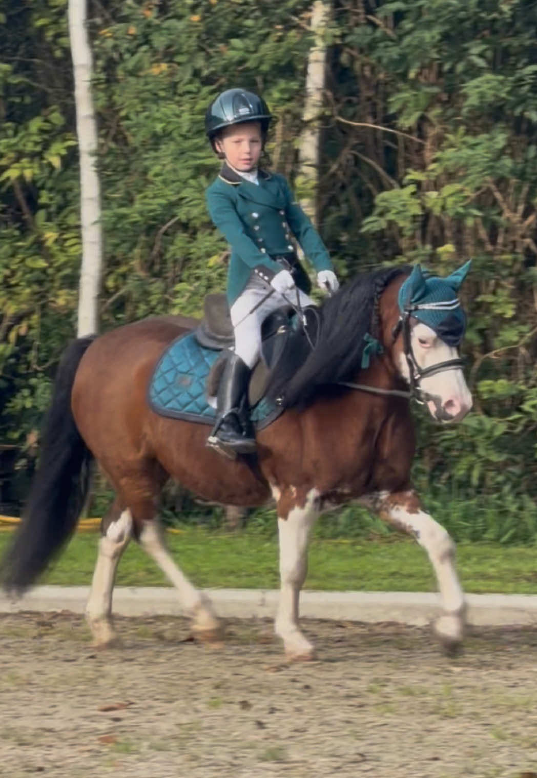 @Anais Super Pony&rsquo;s