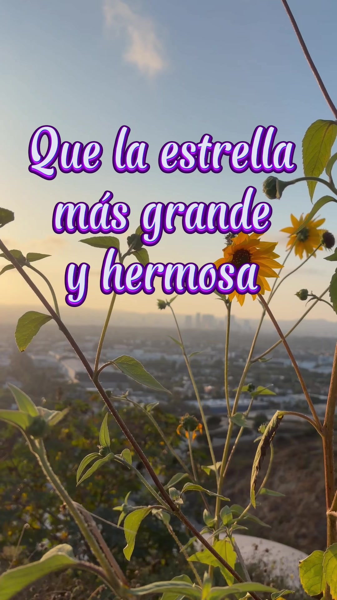 @✨ISABEL HERNANDEZ ✨