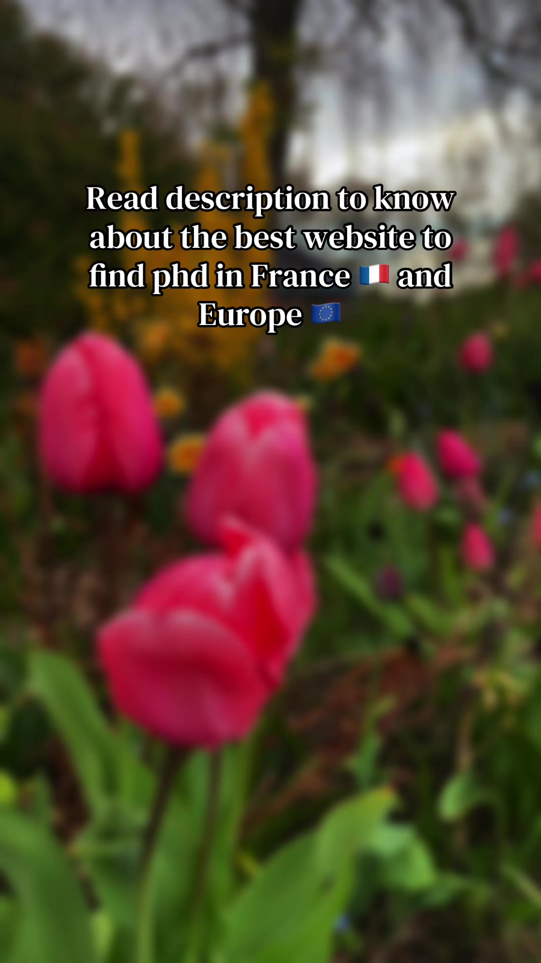 @SaNa🦋🇫🇷