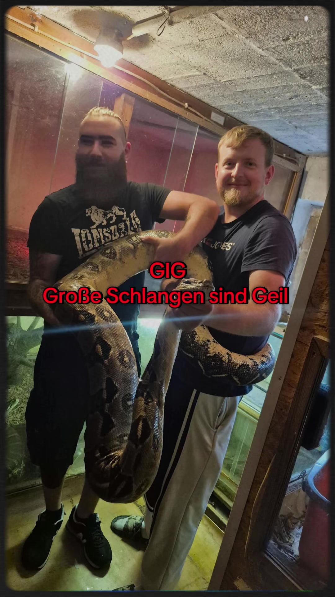 @jurassiczoo