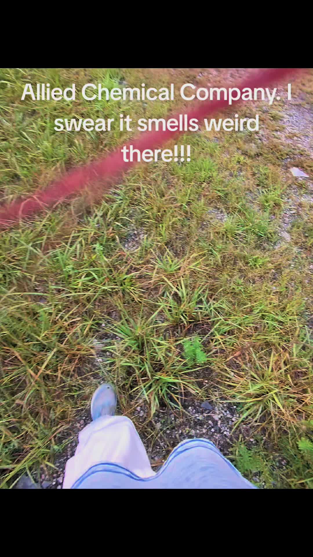@Steph🖤🍃💨🌈