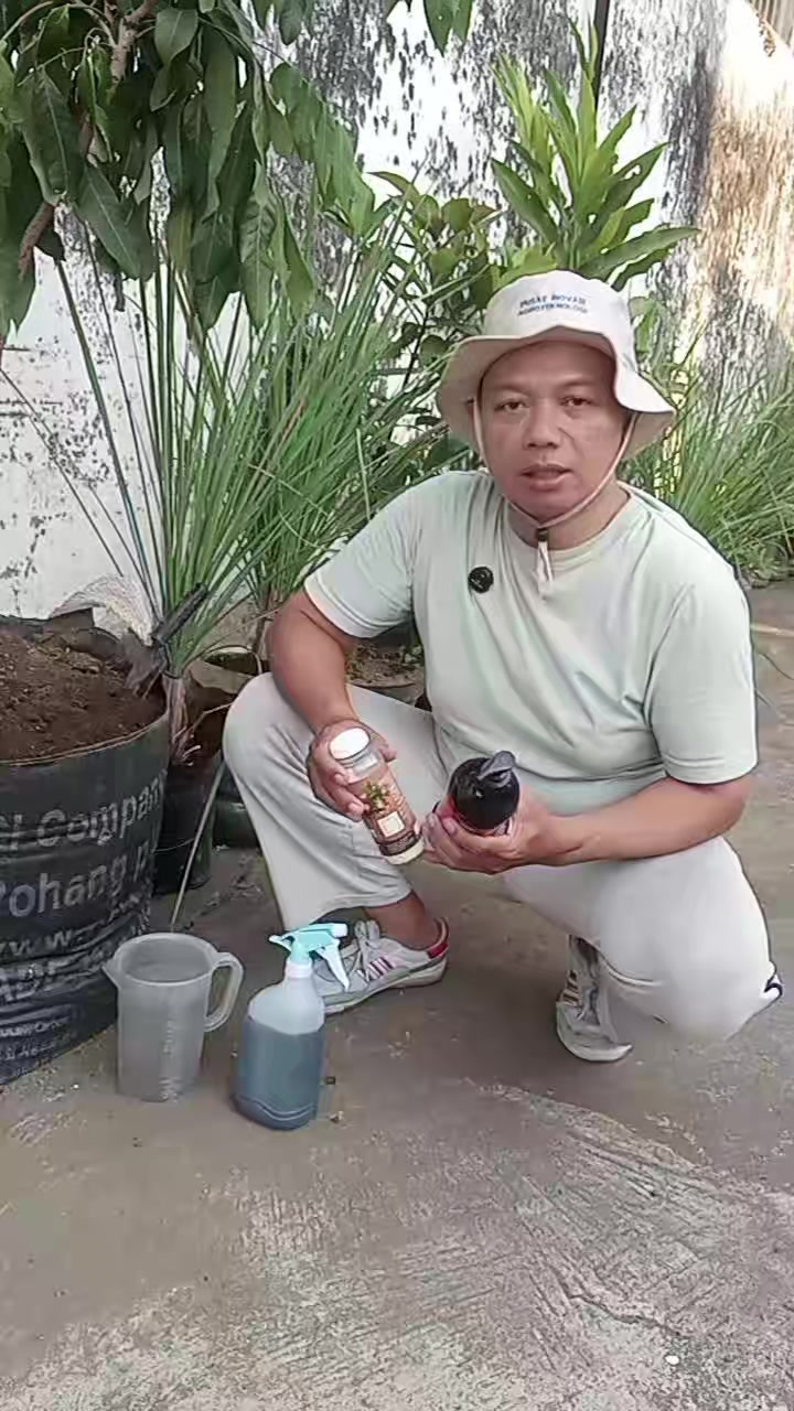 @Berkebun Berkah