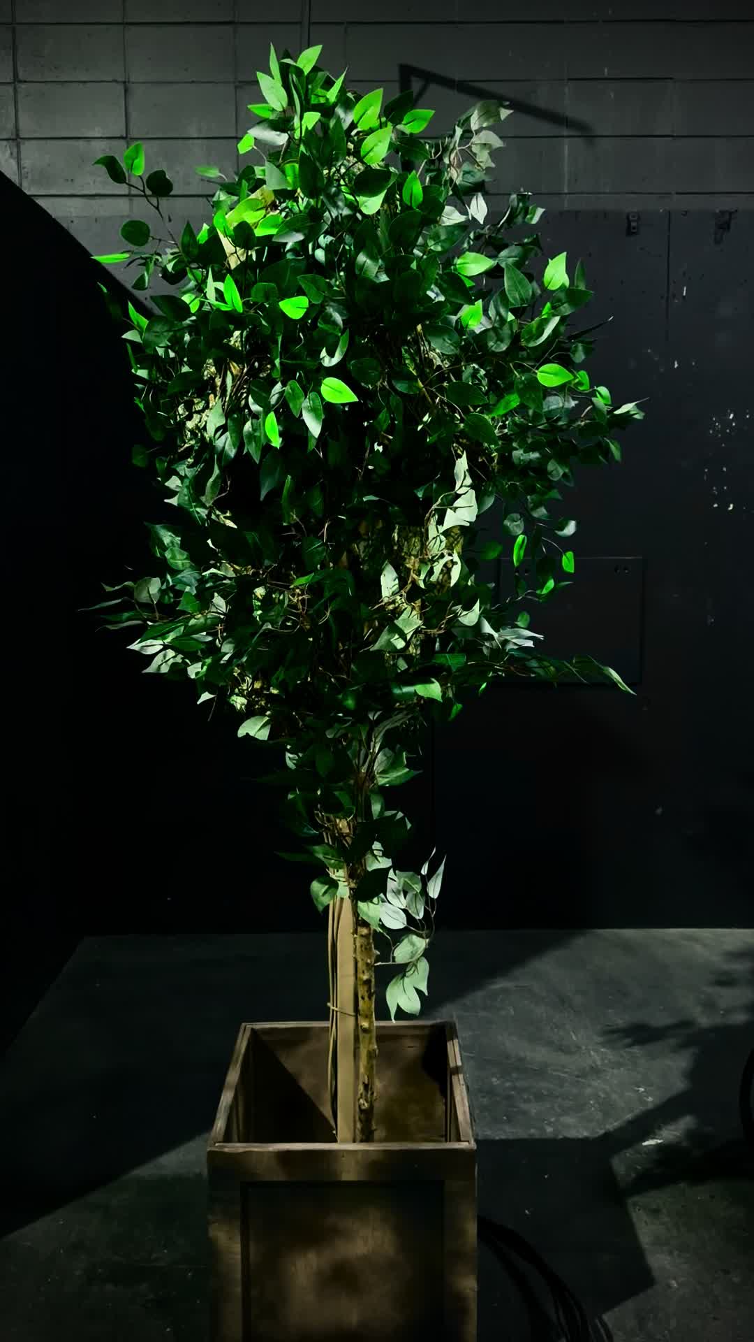 @Poison Props