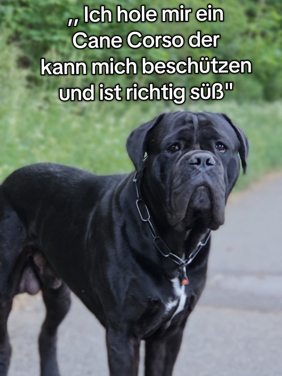 @Ludwig & Mich&egrave;le