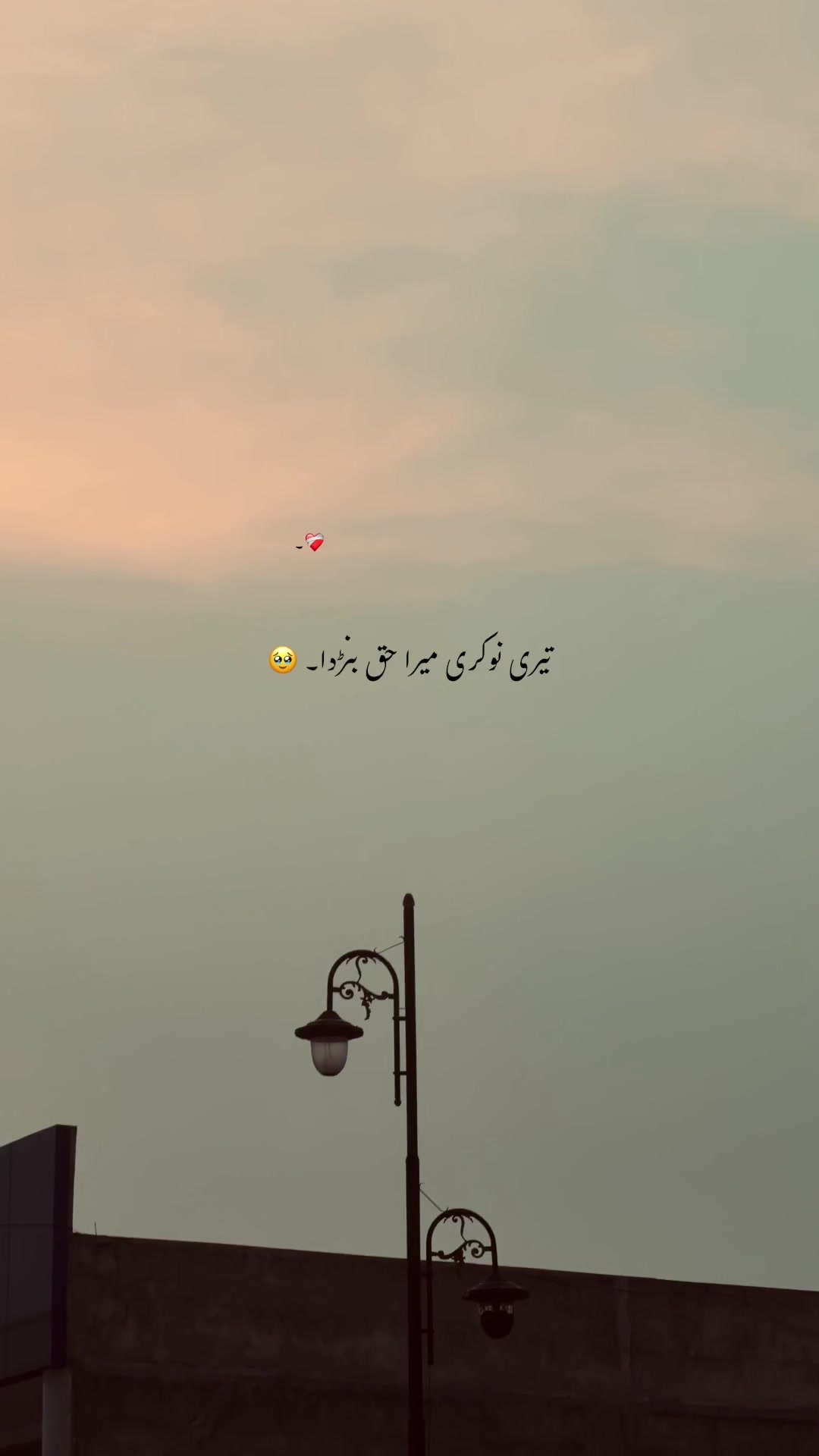 @💸 ⋆