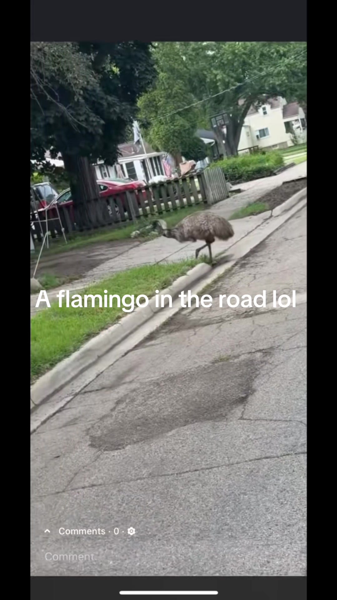 @Nikki M