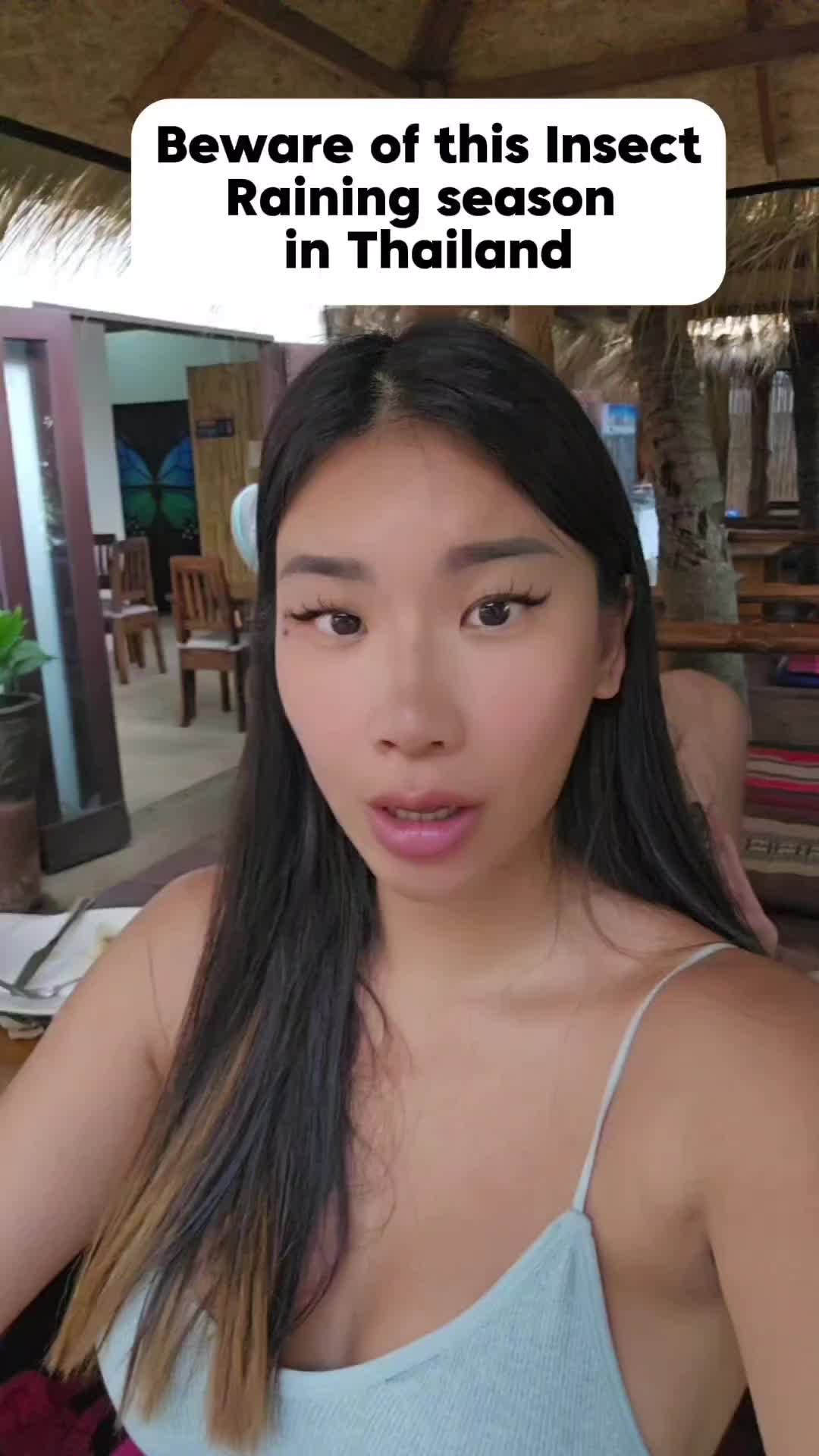 @Thailand Travel Tips