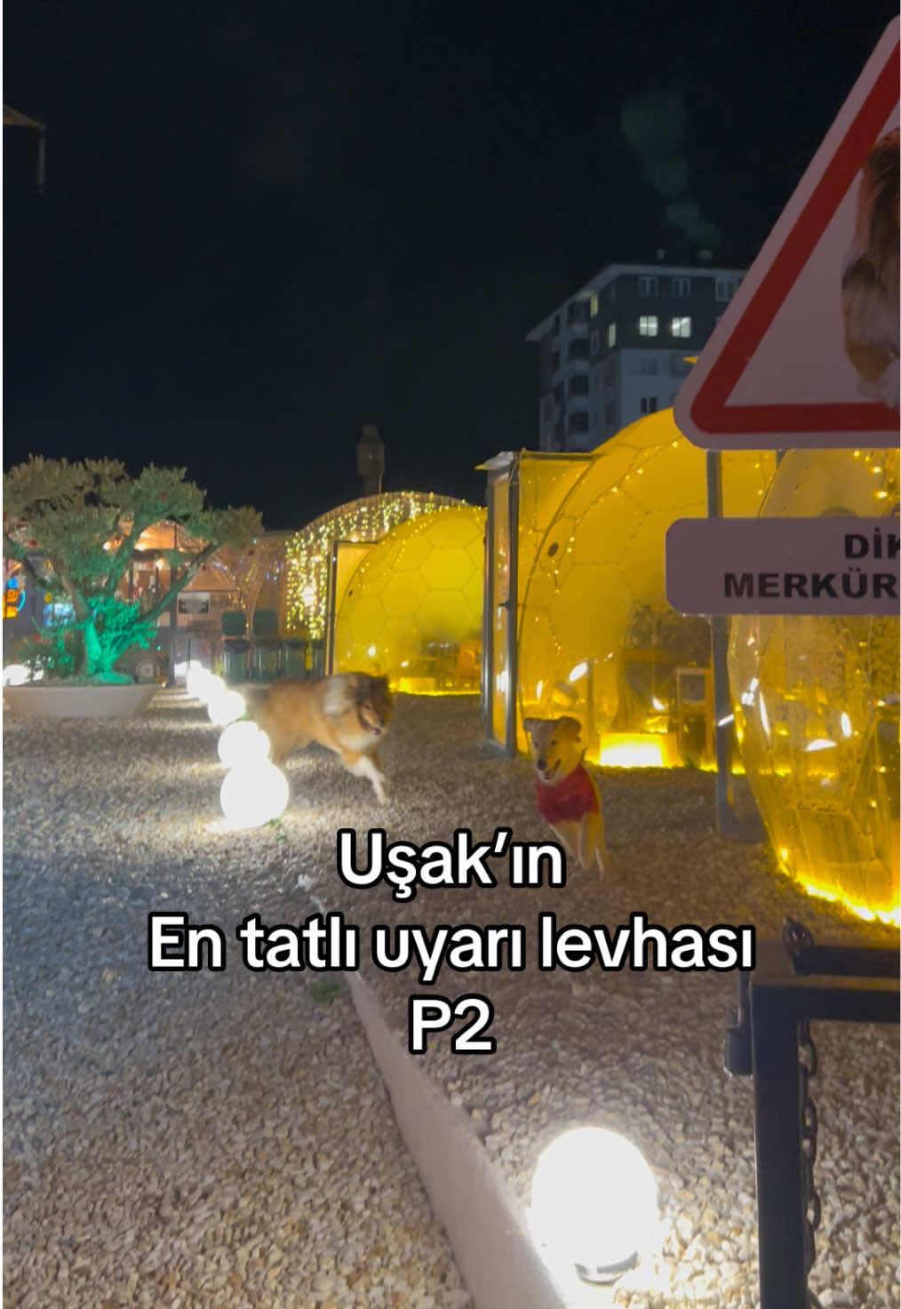 @uşaklite