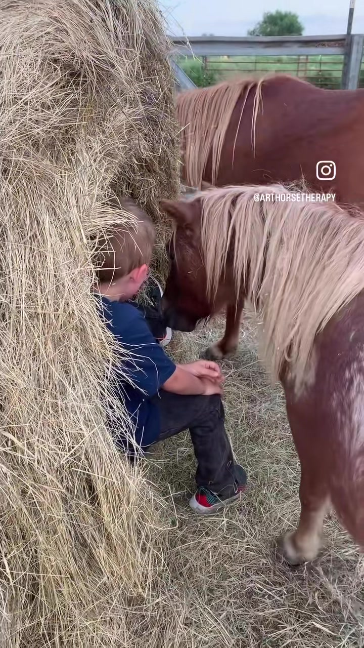 @Horses<>Helping<>Humans