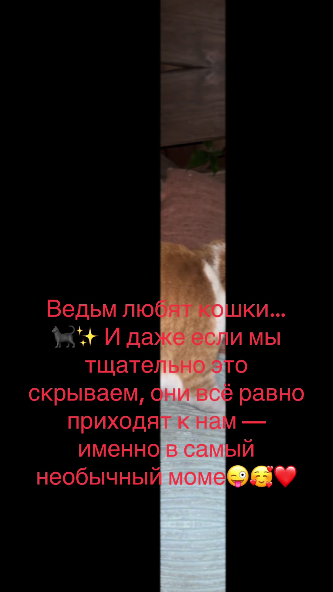 @Алла Бабич