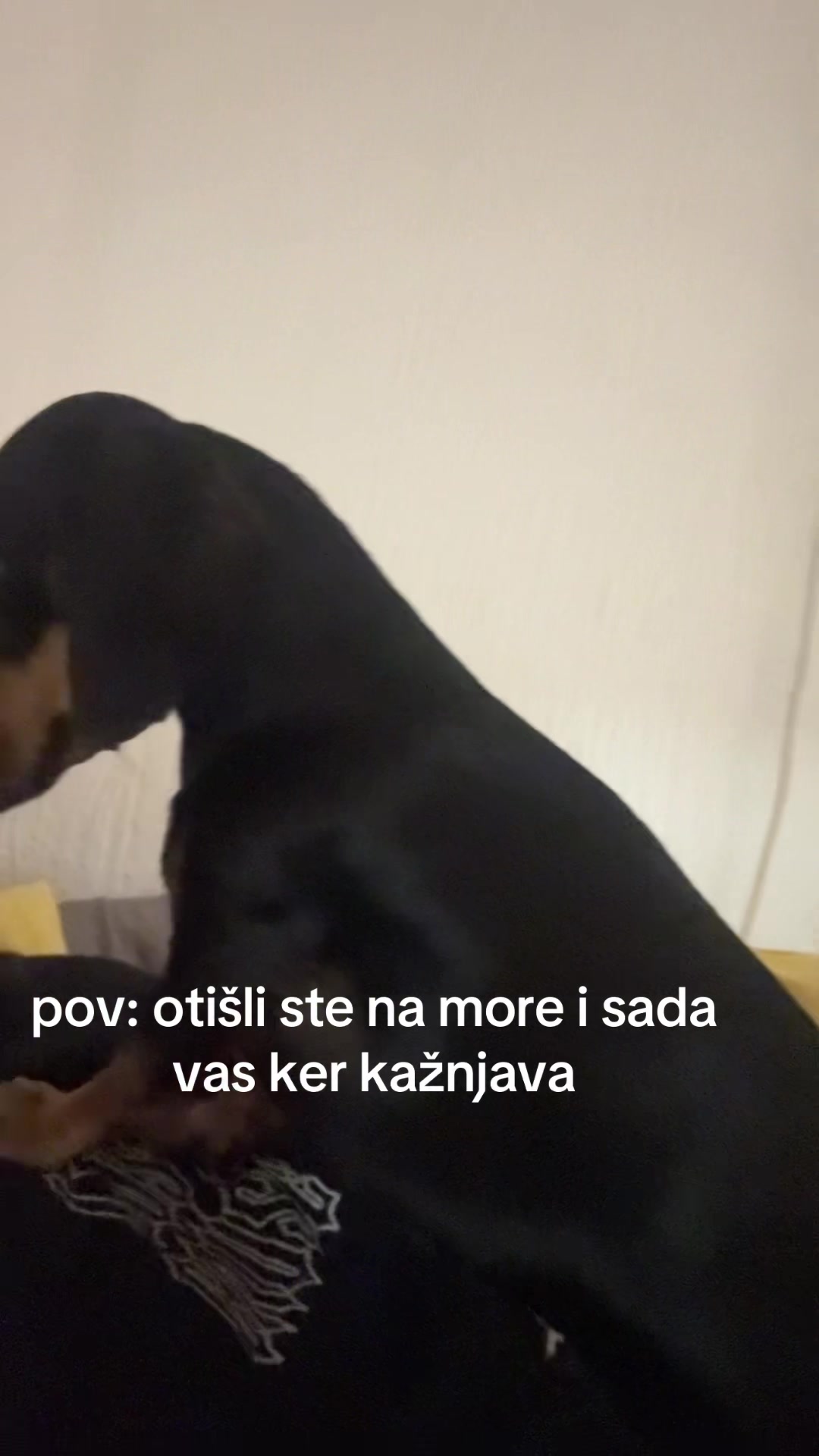 @Minja Varsaković