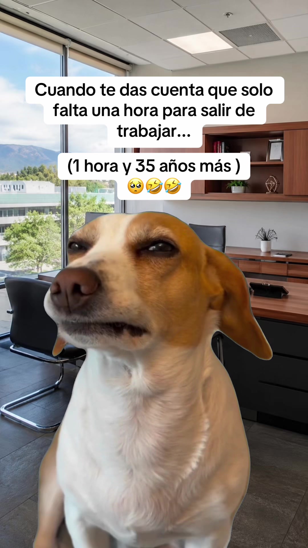 @Memesfactory