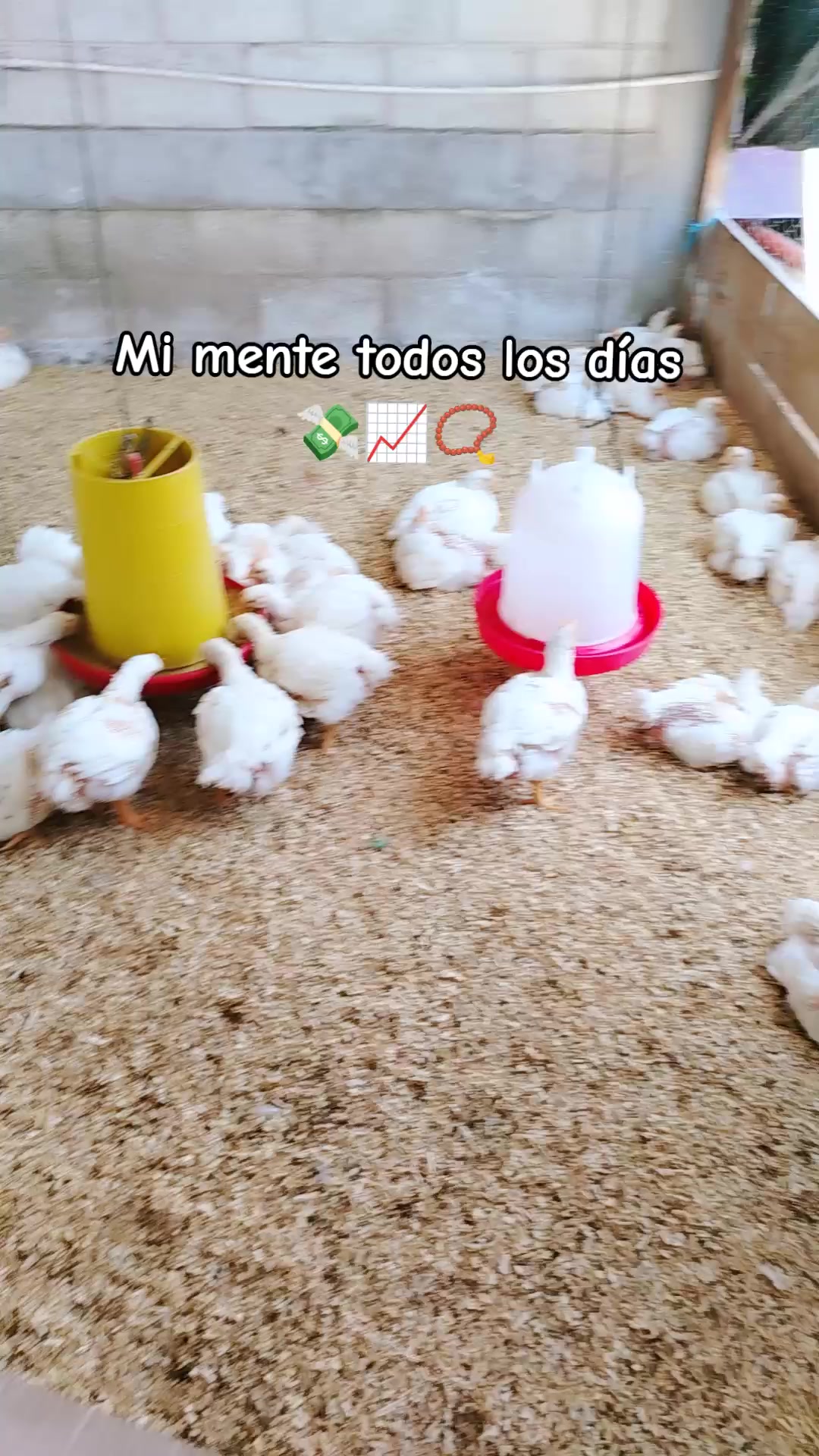 @ElyAlonzo