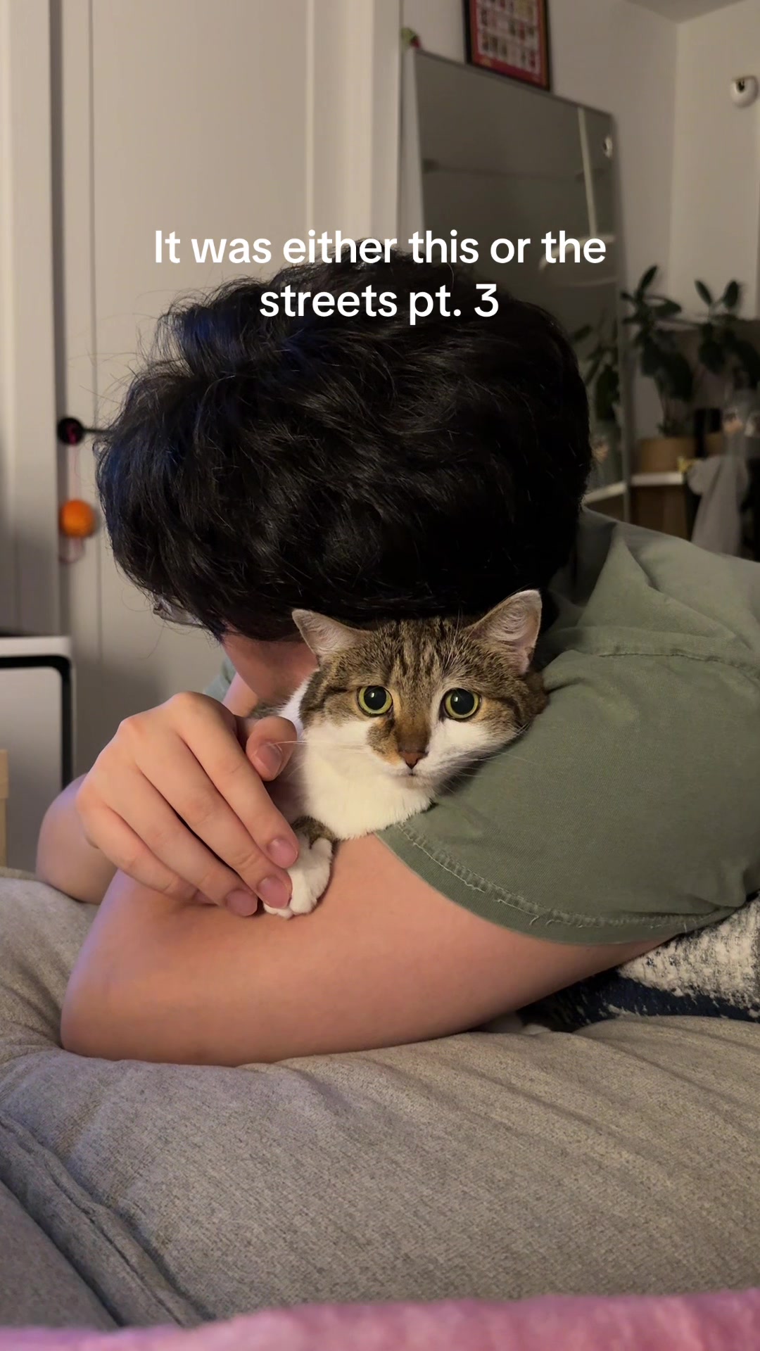 @Suki Purrs