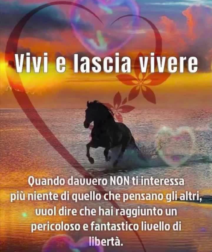 @lilla erica